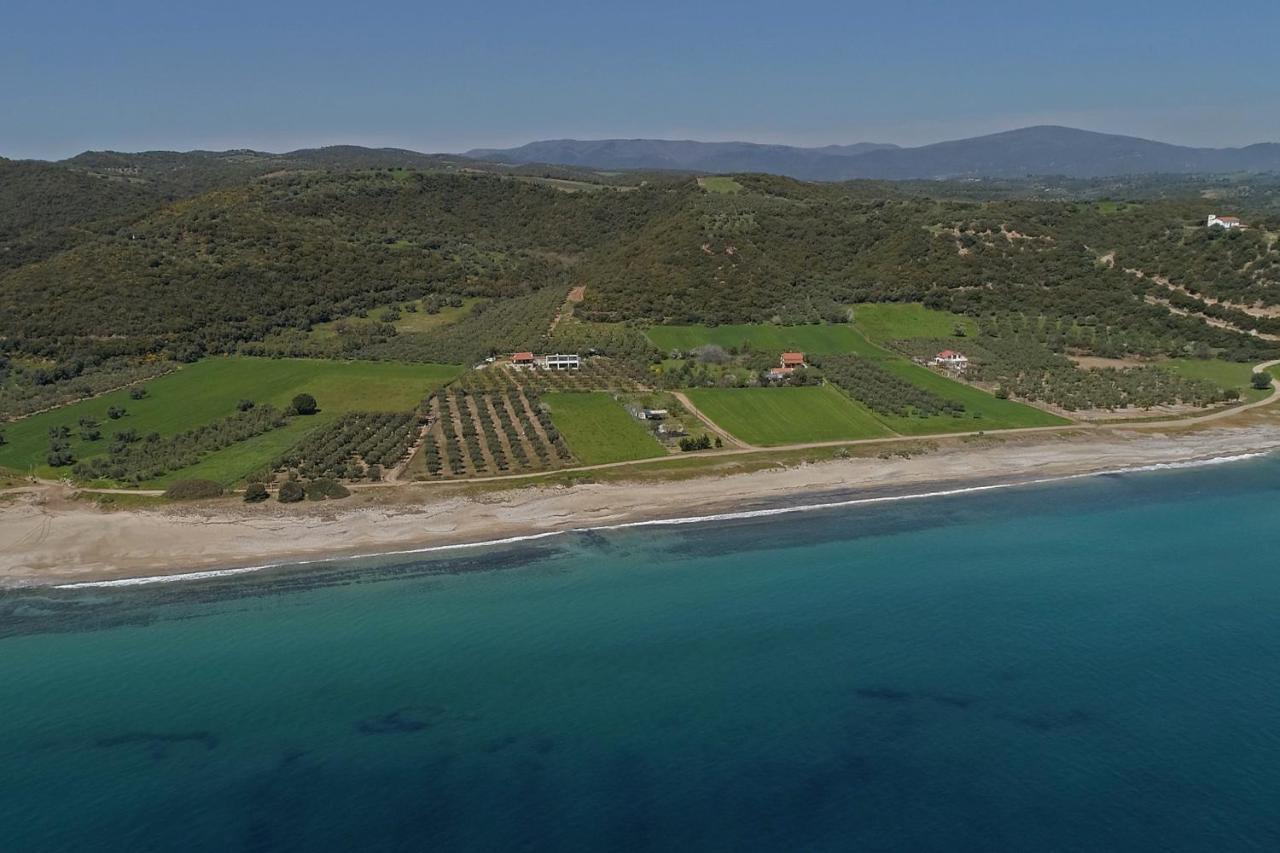 Casa Del Olivar Develíkia Eksteriør billede