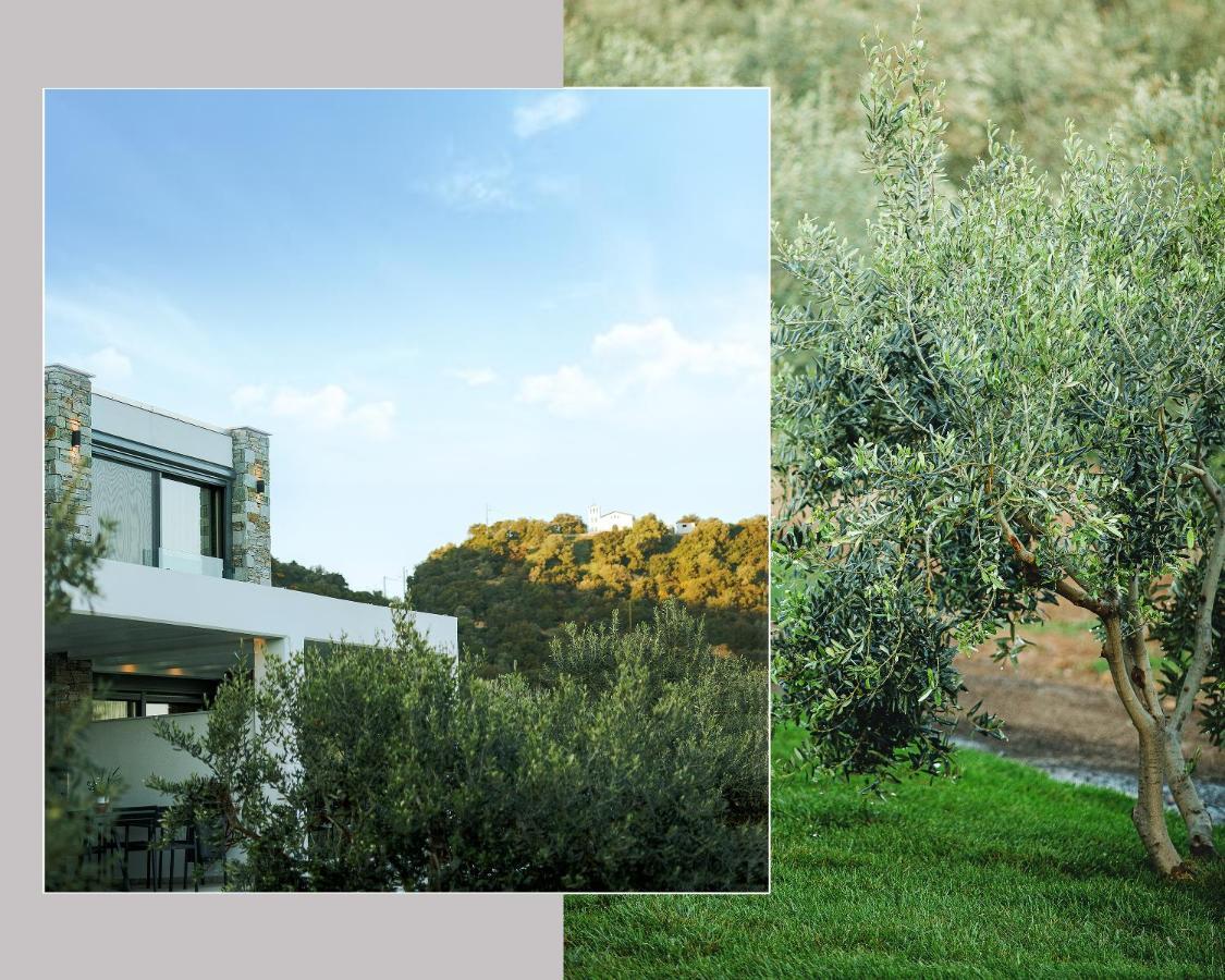 Casa Del Olivar Develíkia Eksteriør billede